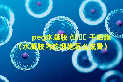 peg水凝胶 🐒 干细胞（水凝胶内的细胞怎么成骨）